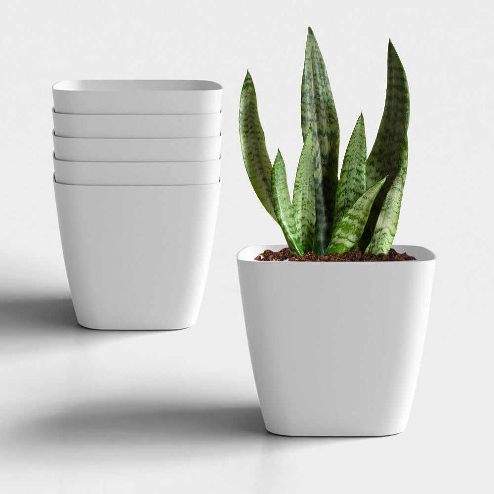 SHERA | STOIC PLANTER