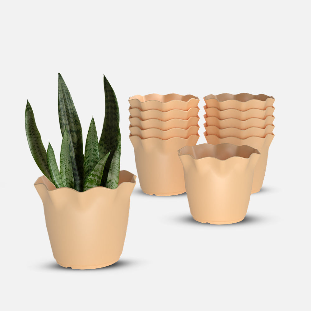 SHERA | FLOWER PLANTER