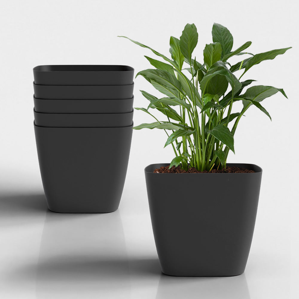 SHERA | STOIC PLANTER