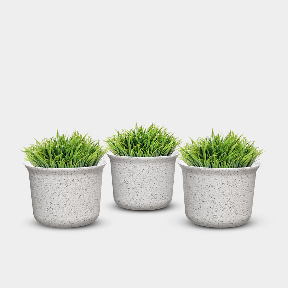 SHERA | FLORA PLANTER