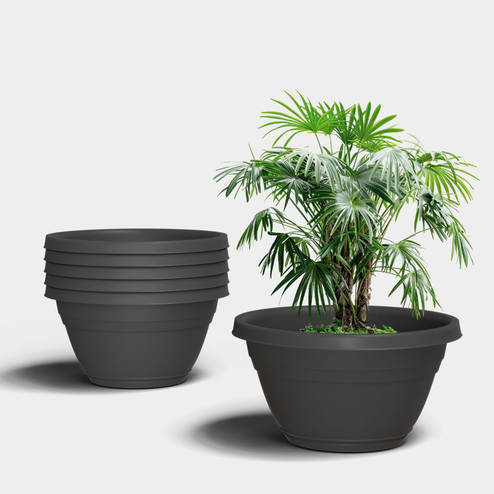 SHERA | BOTANICA BONSAI KTR PLANTER