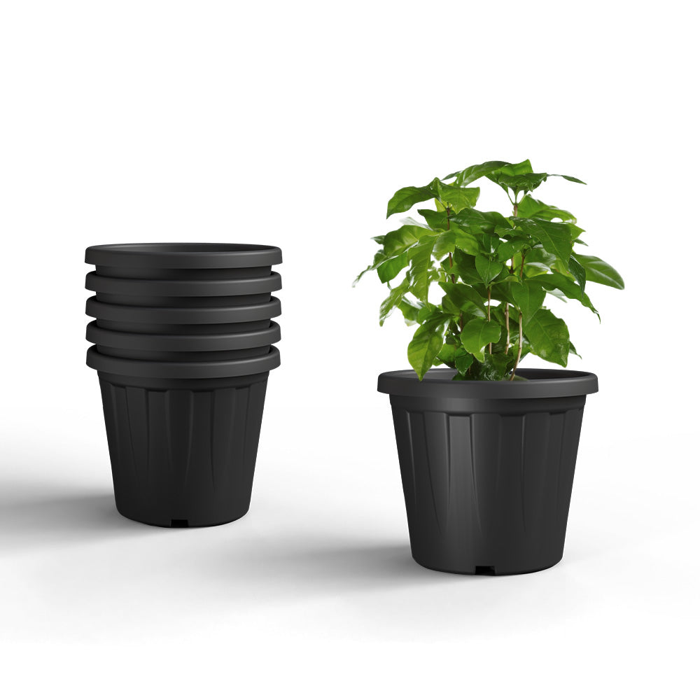 SHERA | CROWN PLANTER