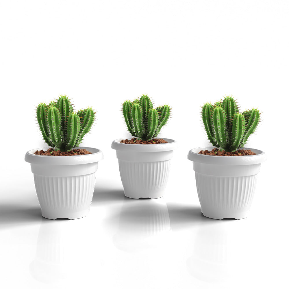 SHERA | BLOOM PLANTER