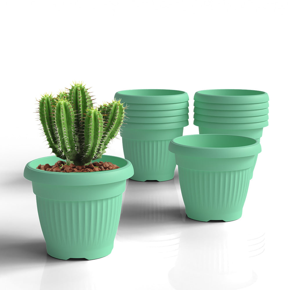 SHERA | BLOOM PLANTER