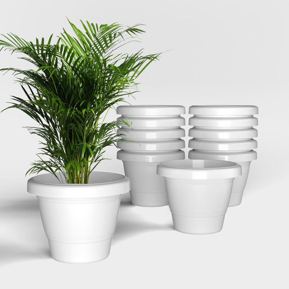 SHERA | SD PLANTER