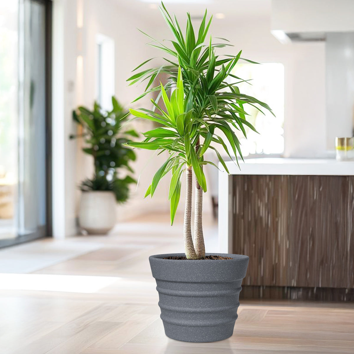 FOX B | BR PLANTER