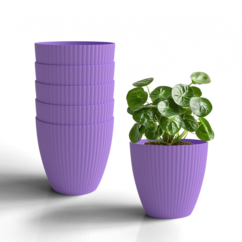 SHERA | LOTUS PLANTER