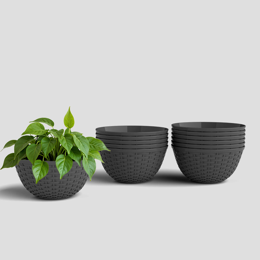 SHERA | CHICK KTR PLANTER