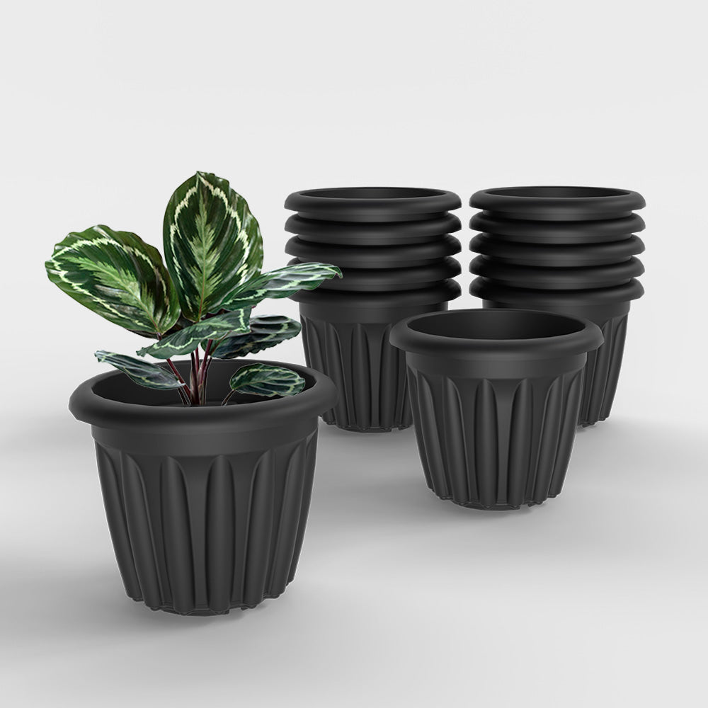SHERA | FLOOT PLANTER