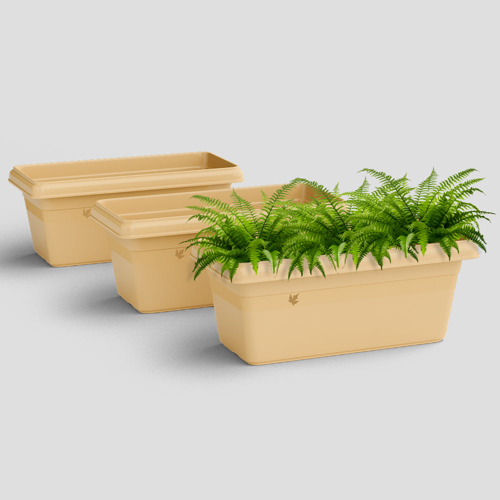 SHERA | TP PLANTER