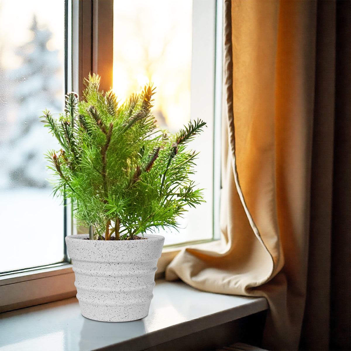 FOX B | BR PLANTER
