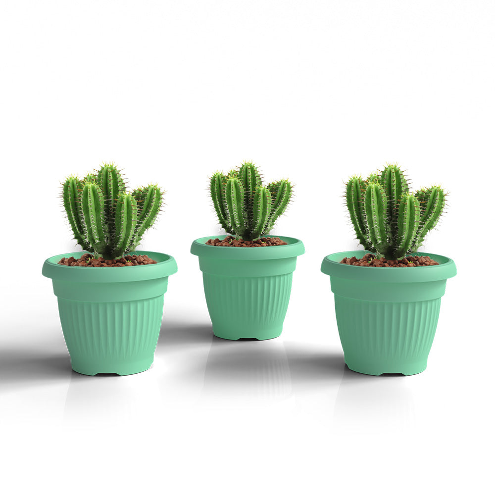 SHERA | BLOOM PLANTER