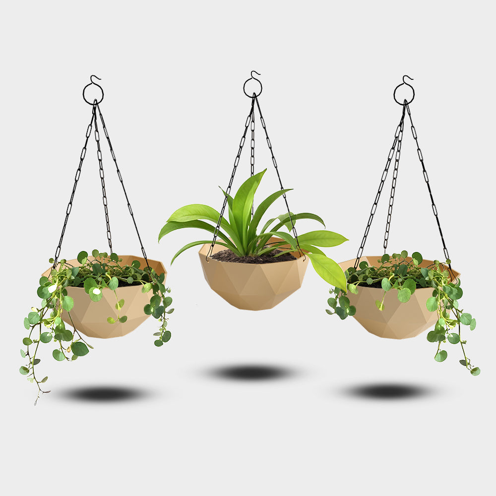 SHERA | DMD HANGING