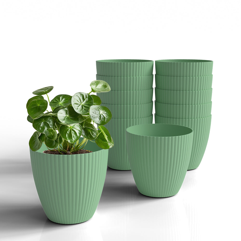 SHERA | LOTUS PLANTER