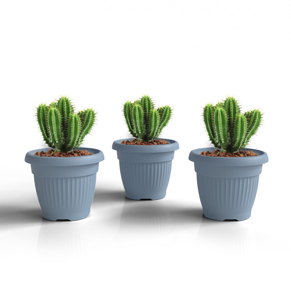 SHERA | BLOOM PLANTER