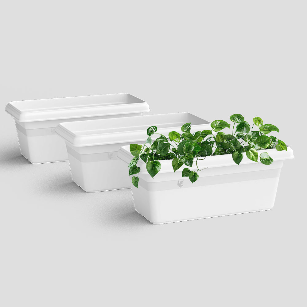 SHERA | TP PLANTER