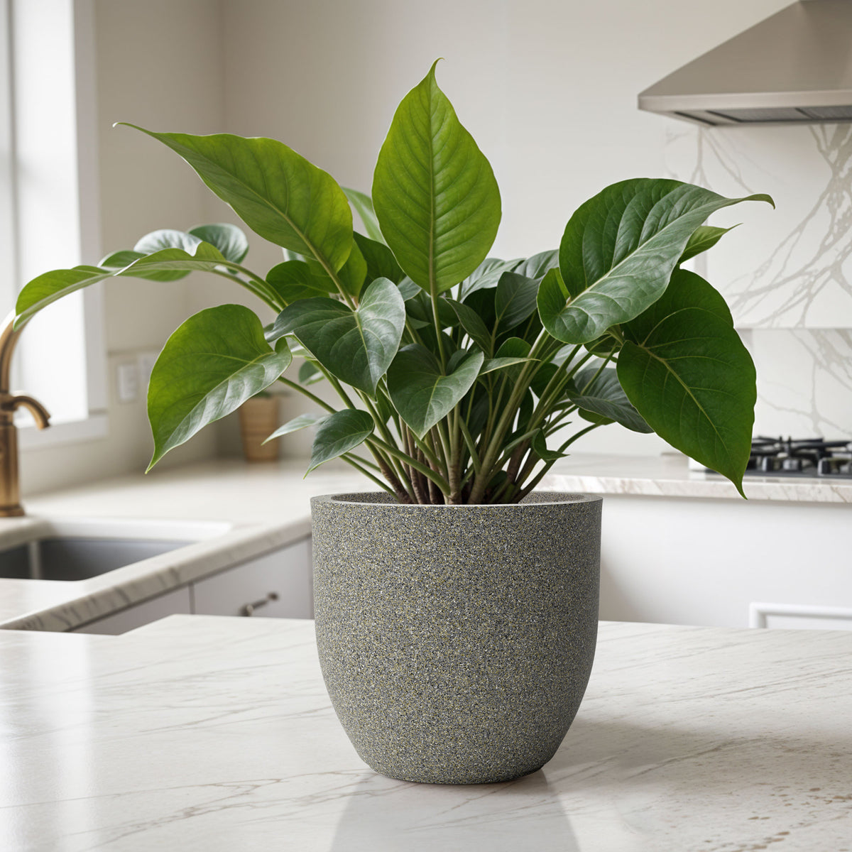 FOX B | P CUP PLANTER 6 INCH TO 15 INCH