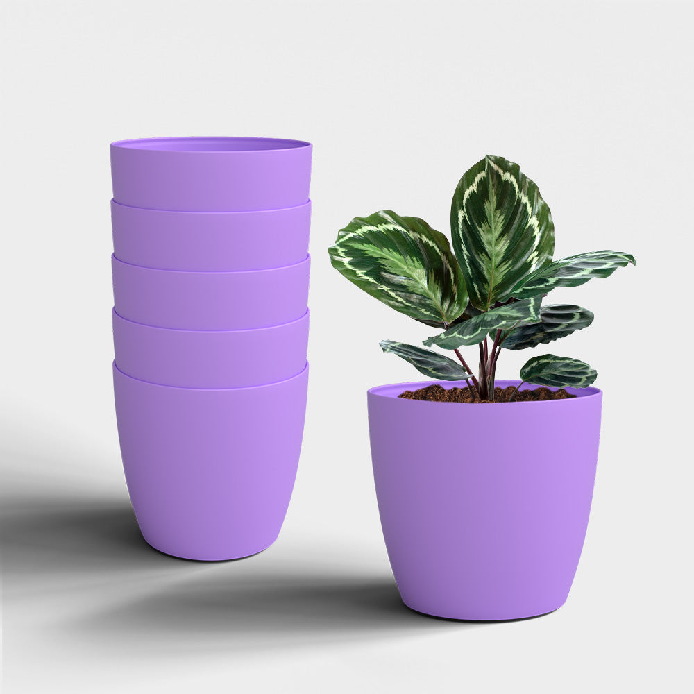 SHERA | STELLA PLANTER