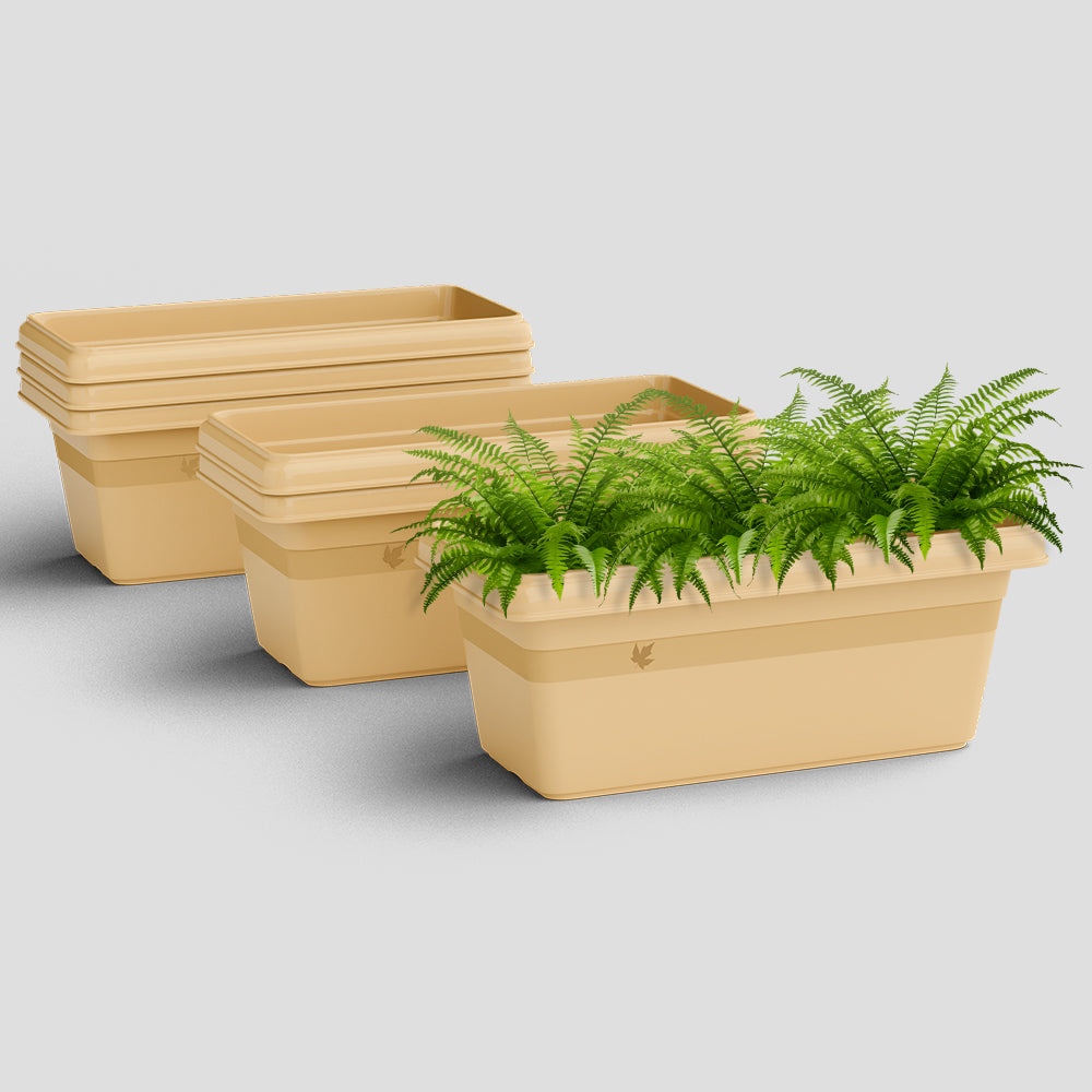 SHERA | TP PLANTER