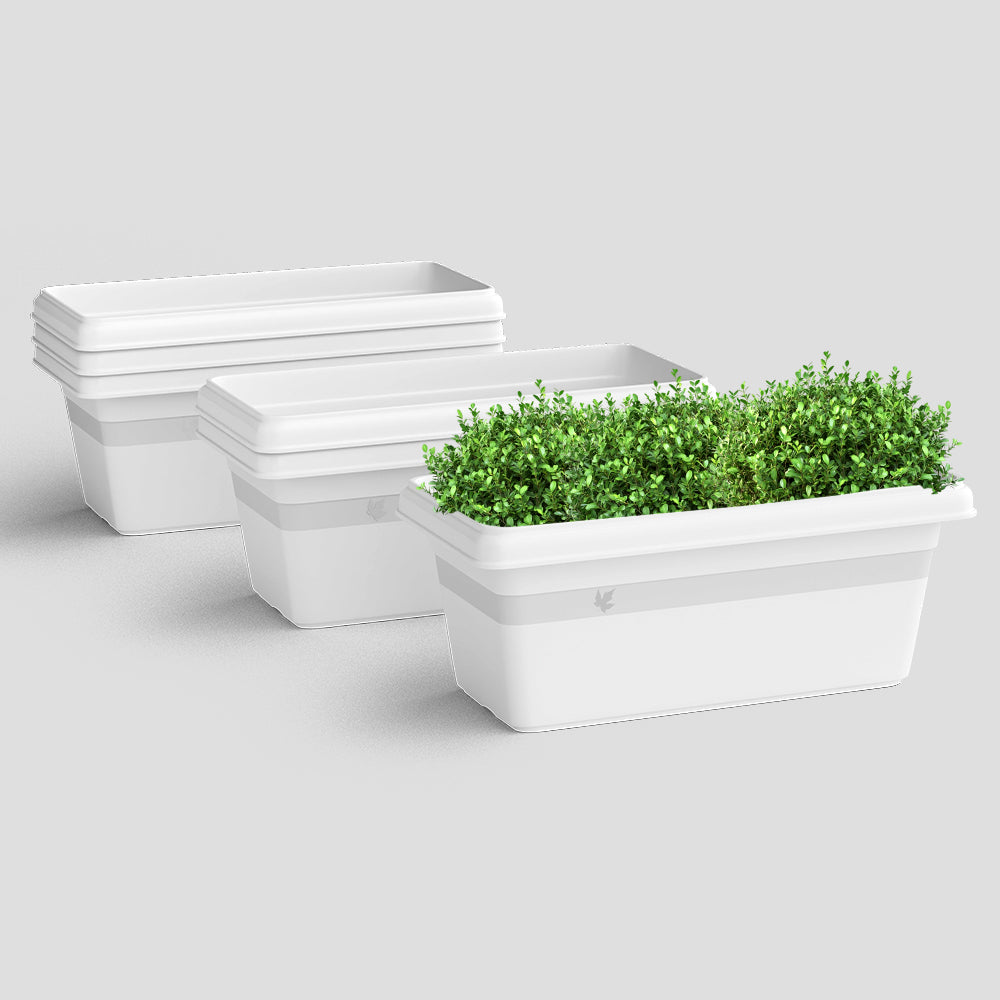 SHERA | TP PLANTER