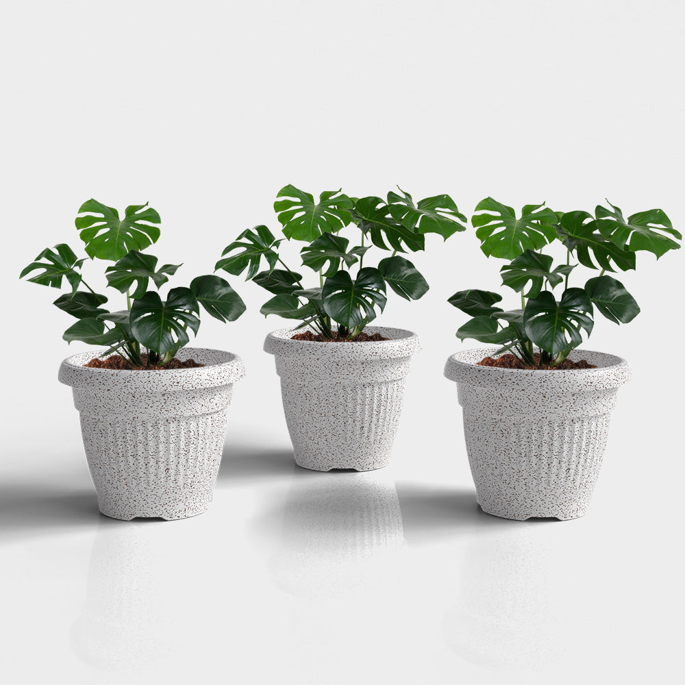 SHERA | BLOOM PLANTER