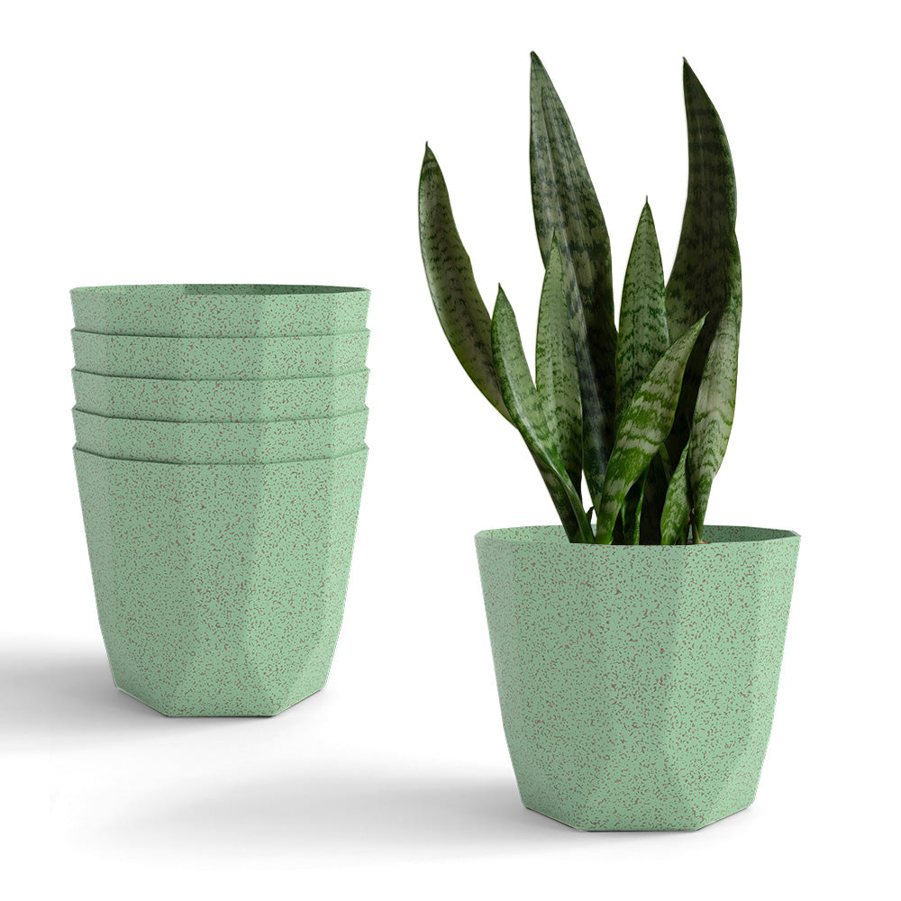 SHERA | HEXA BIO PLANTER