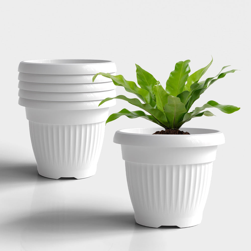 SHERA | BLOOM PLANTER