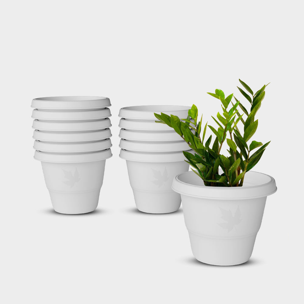 SHERA | RD PLANTER