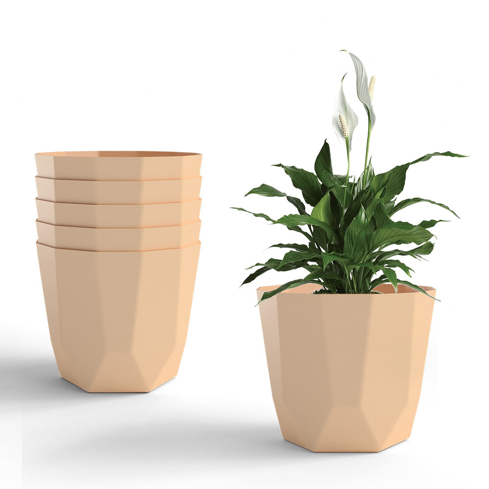 SHERA | HEXA PLANTER