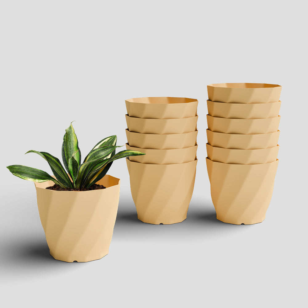 SHERA | SWIRL PLANTER