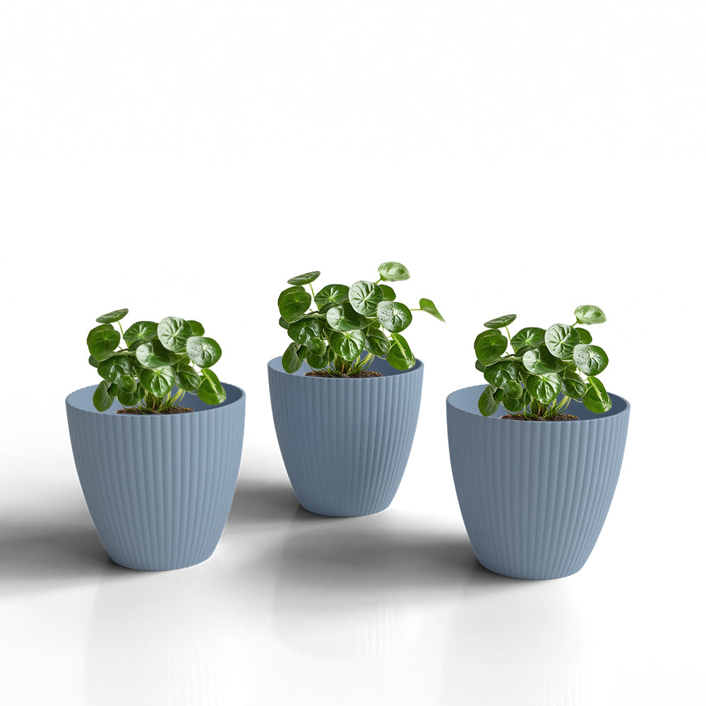 SHERA | LOTUS PLANTER