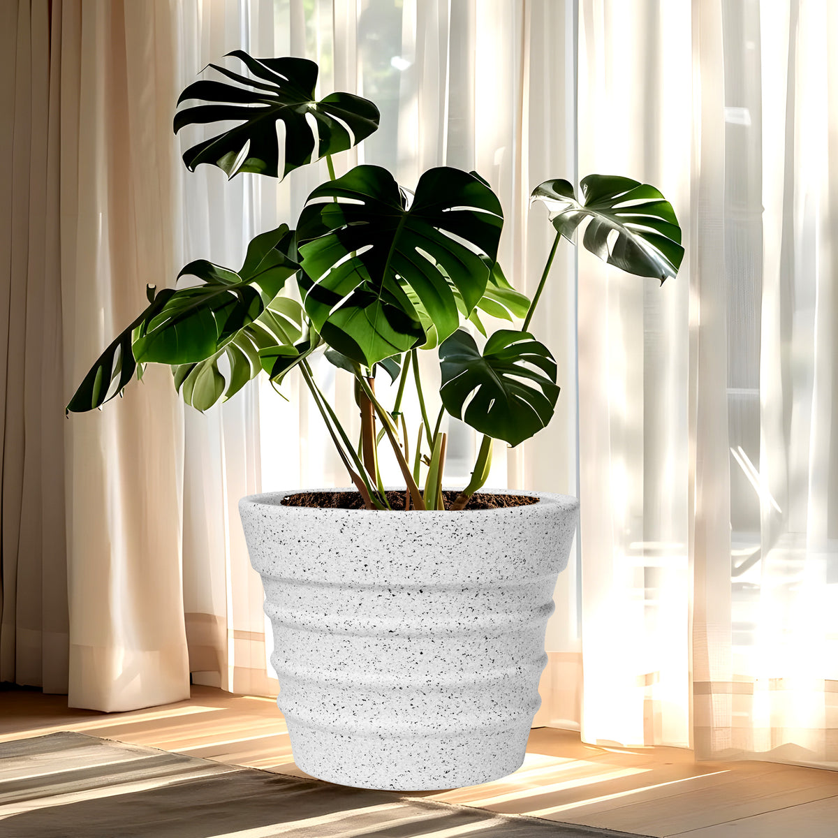 FOX B | BR PLANTER