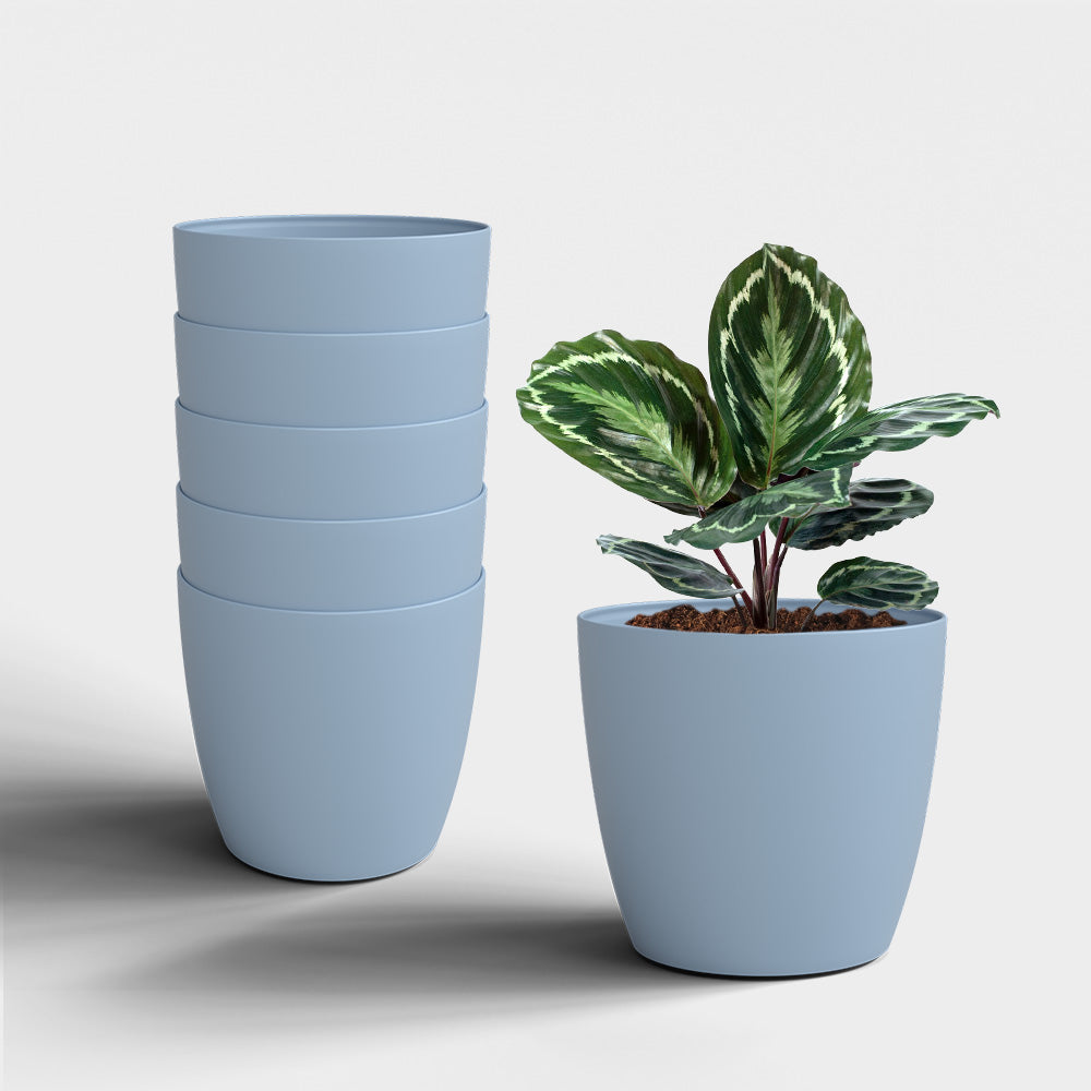 SHERA | STELLA PLANTER