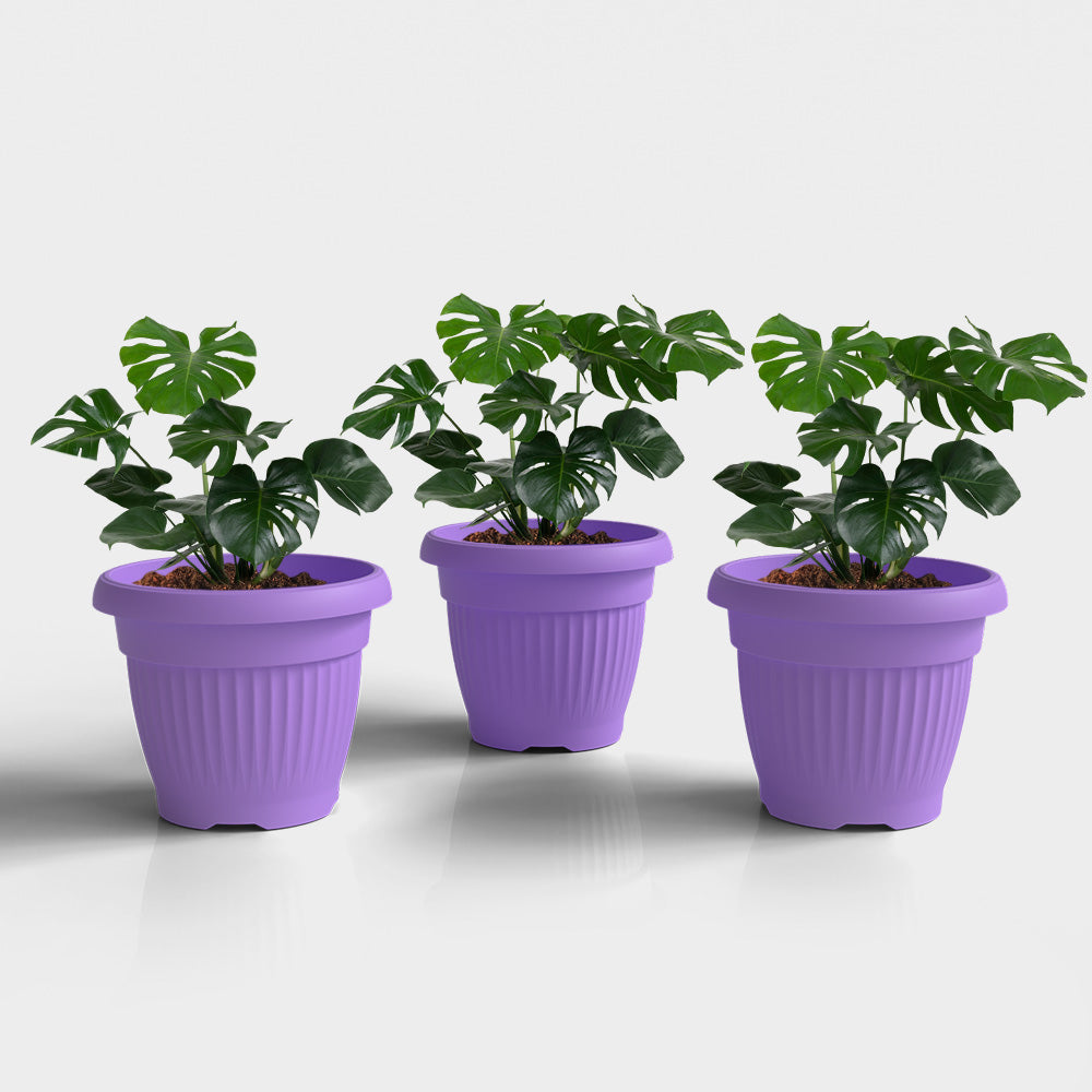 SHERA | BLOOM PLANTER