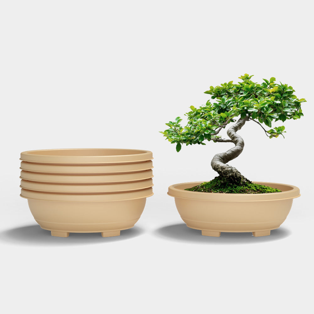 SHERA | BOTANICA TRAY PLANTER