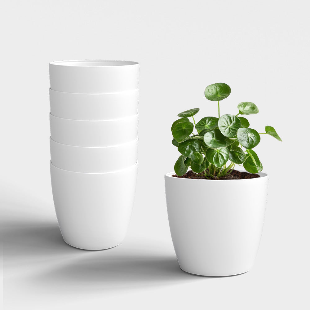 SHERA | STELLA PLANTER