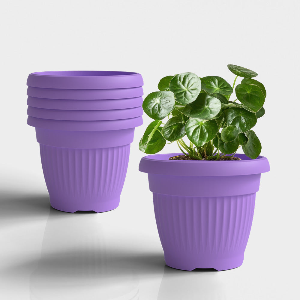 SHERA | BLOOM PLANTER