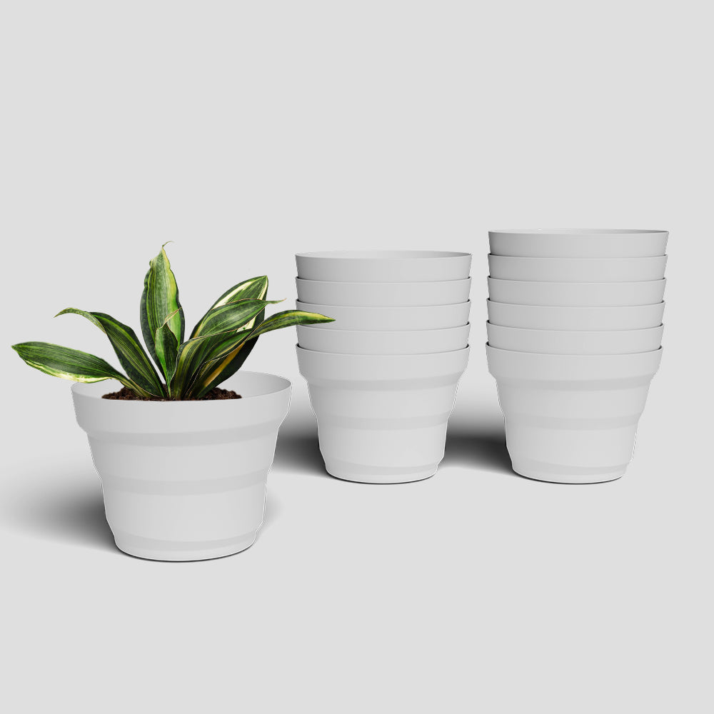 SHERA | RING PLANTER