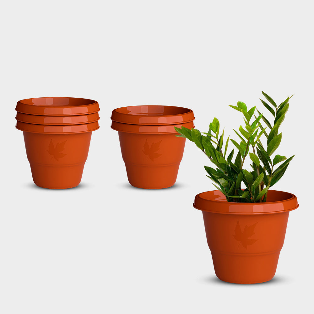 SHERA | RD PLANTER