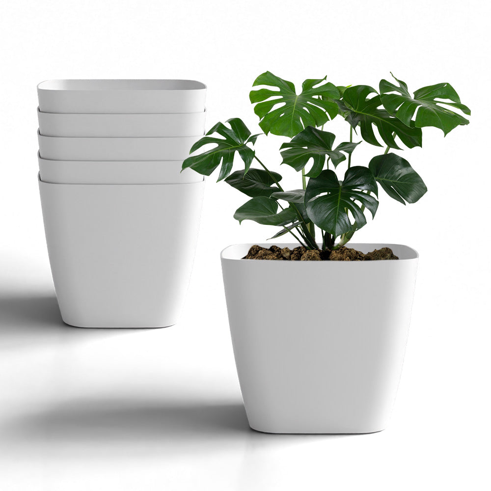 SHERA | STOIC PLANTER
