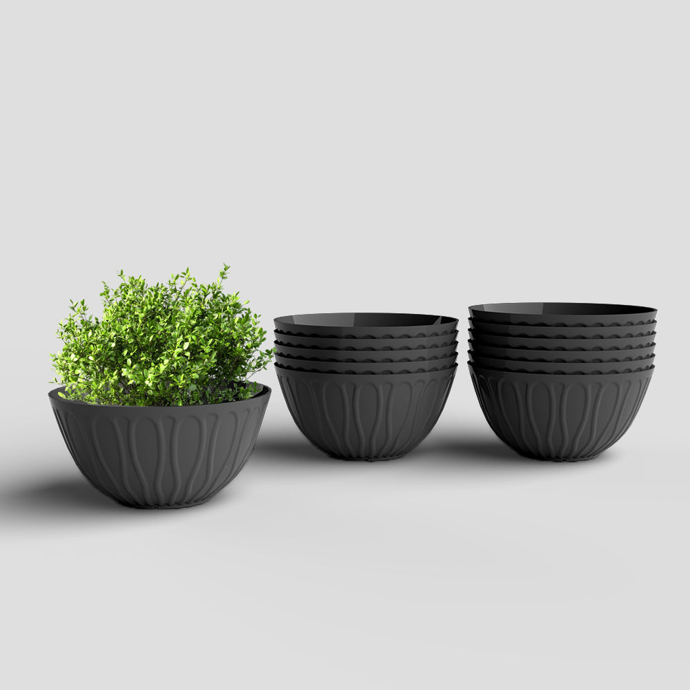 SHERA | WAVE KTR PLANTER