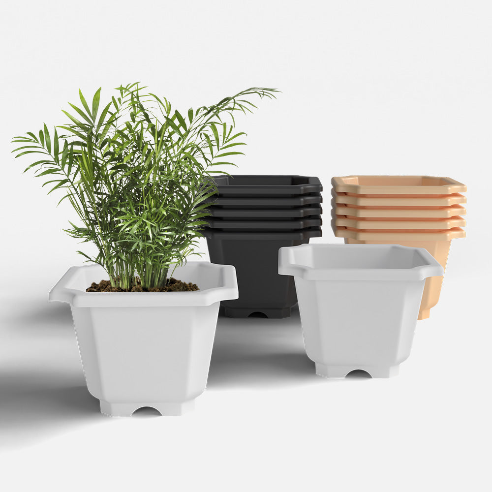 SHERA | OCTA PLANTER SET OF 12