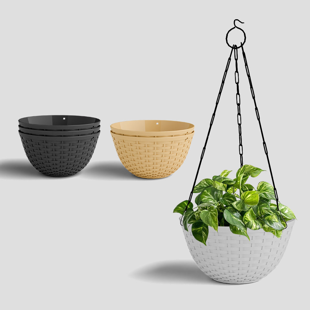 SHERA | CHICK HANGING