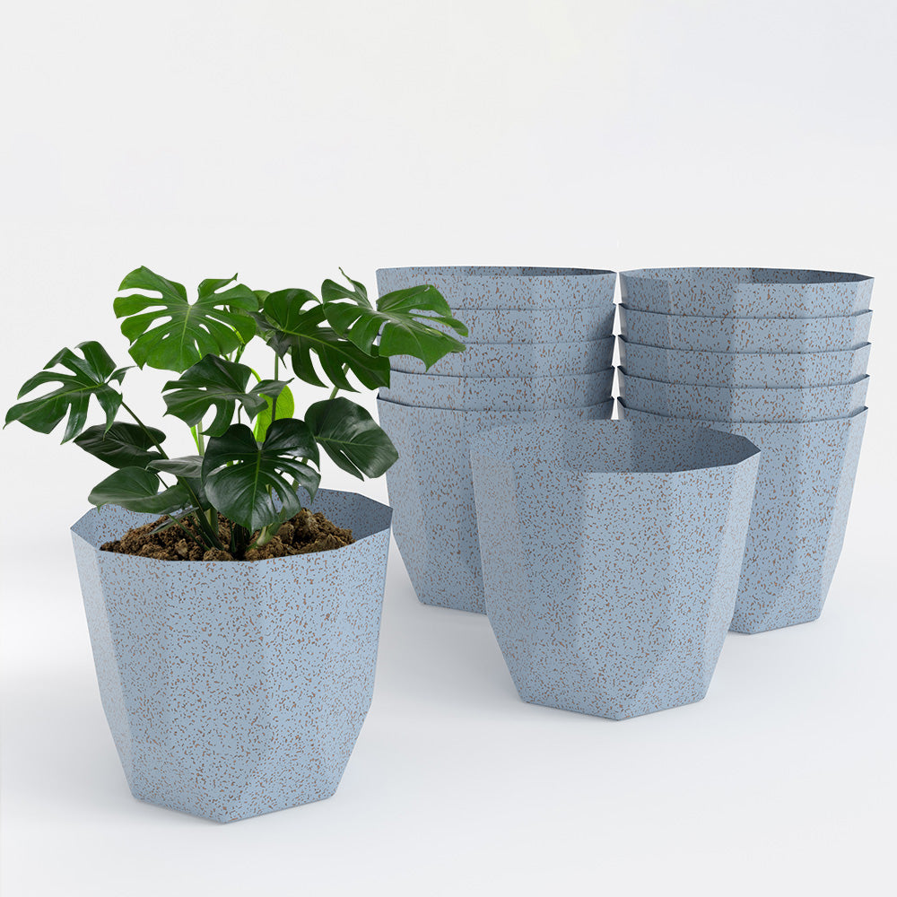 SHERA | HEXA BIO PLANTER