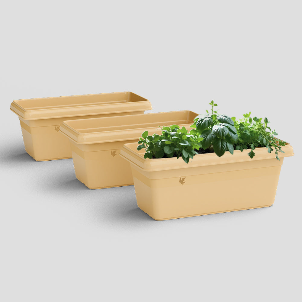 SHERA | TP PLANTER