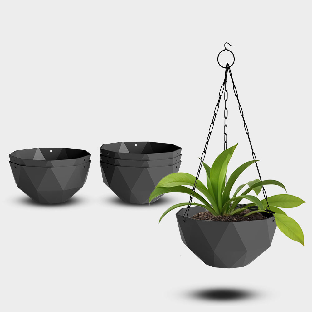 SHERA | DMD KTR HANGING