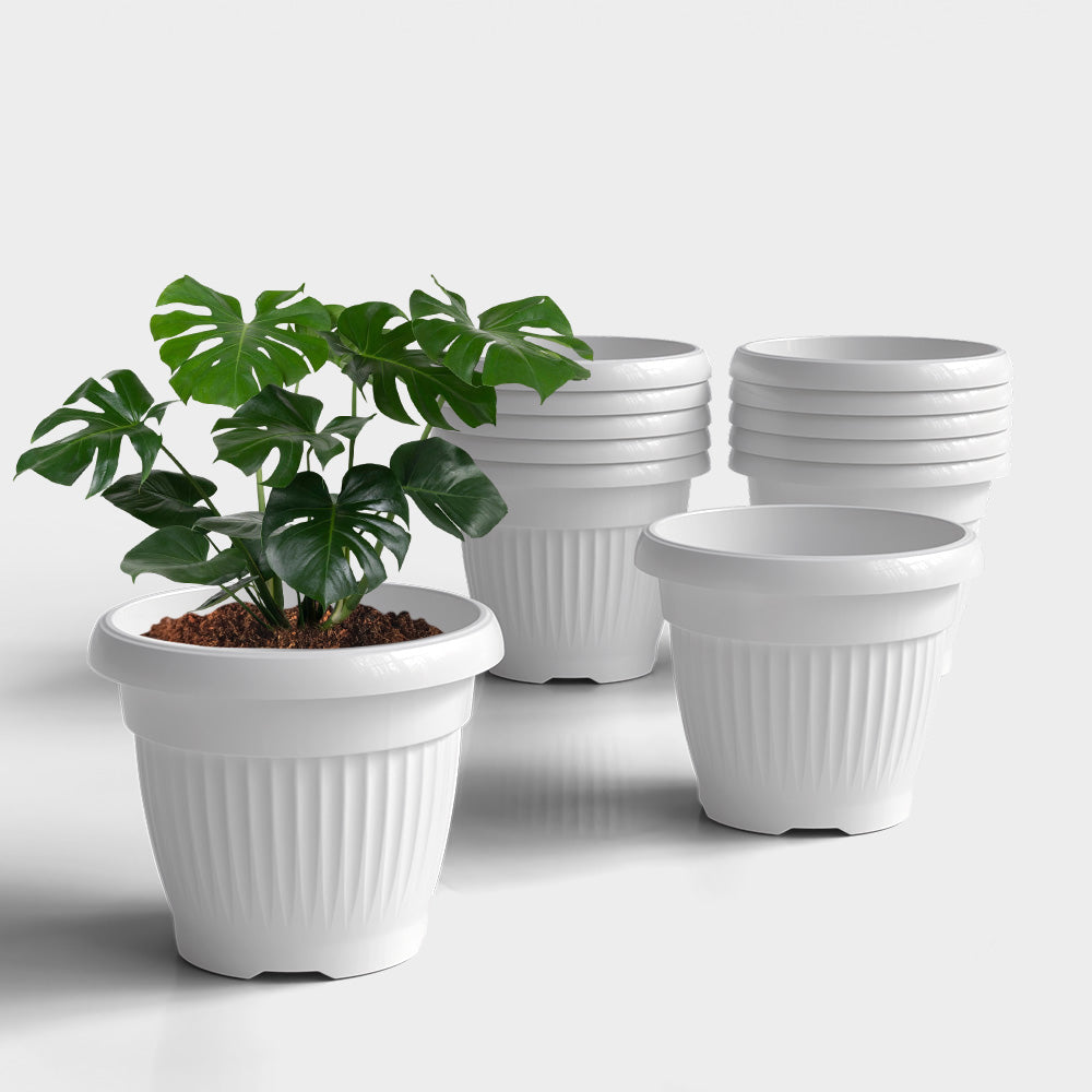 SHERA | BLOOM PLANTER