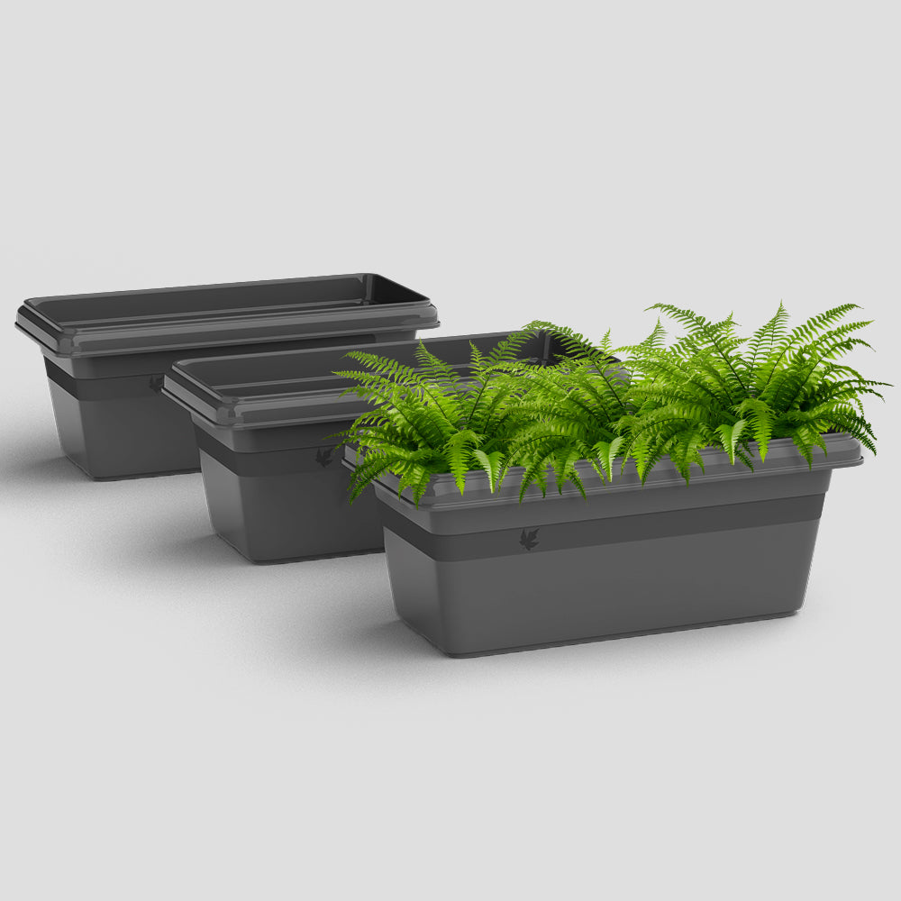 SHERA | TP PLANTER