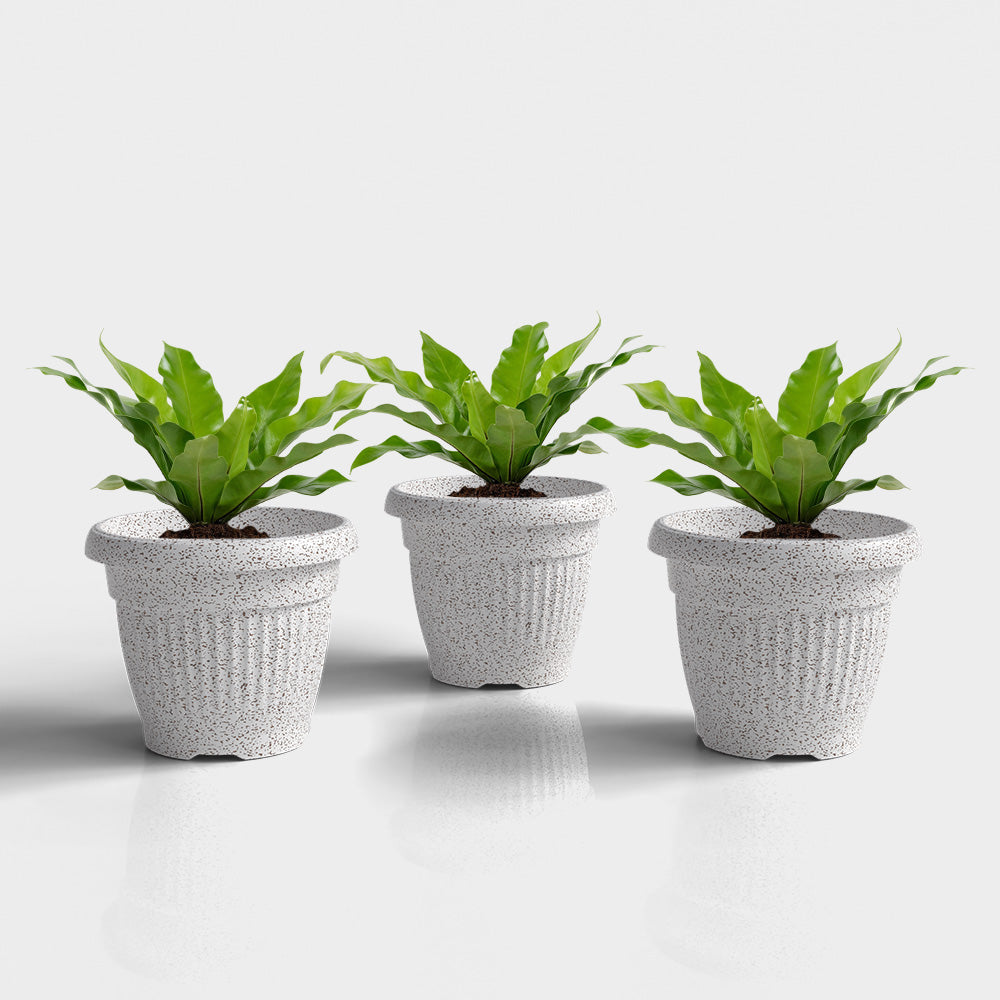 SHERA | BLOOM PLANTER