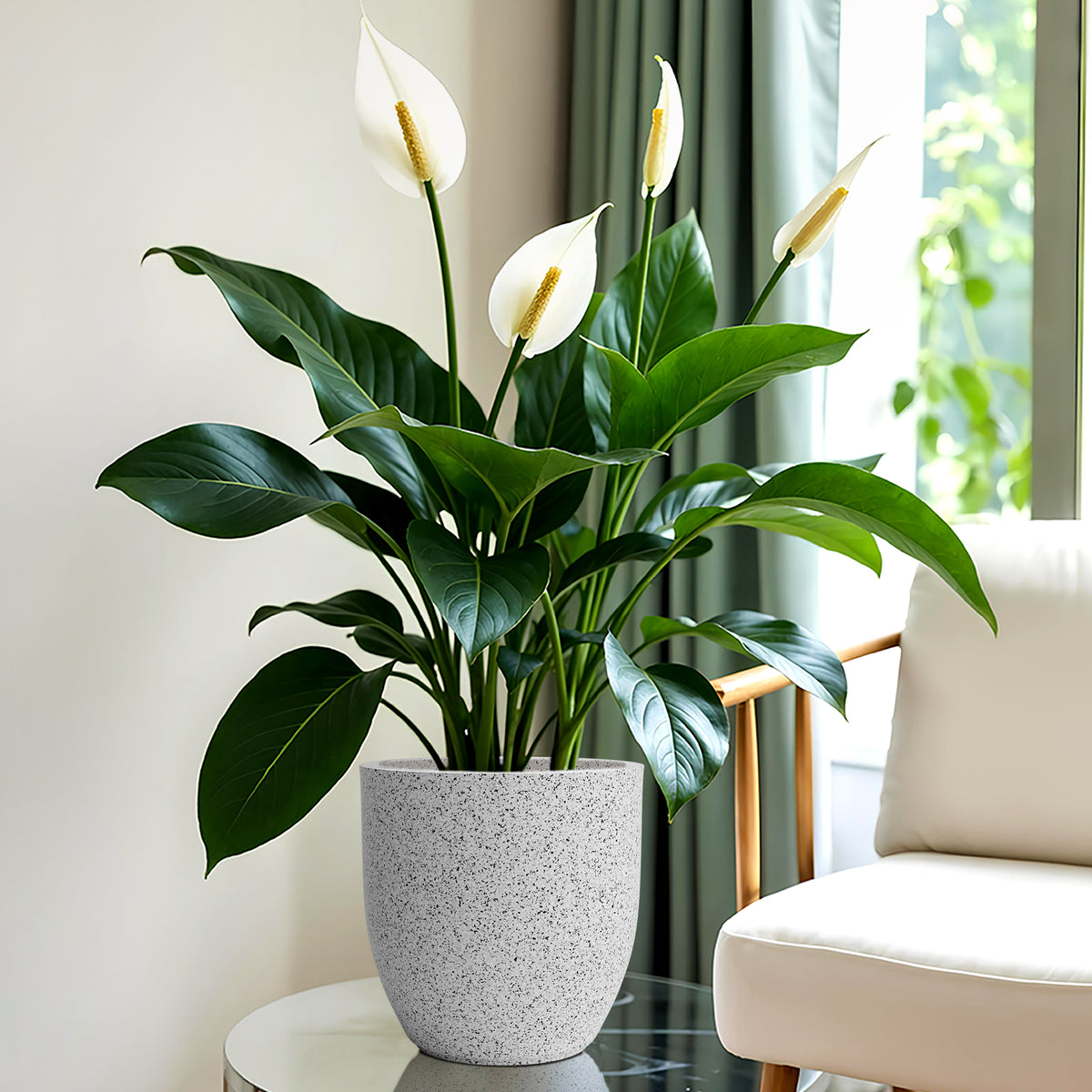 FOX B | P CUP PLANTER 6 INCH TO 15 INCH